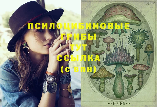 героин Бородино