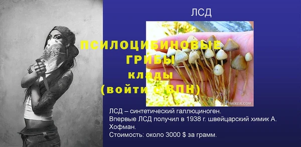 apvp Бугульма
