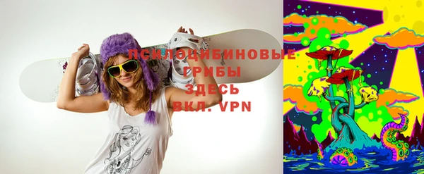 apvp Бугульма