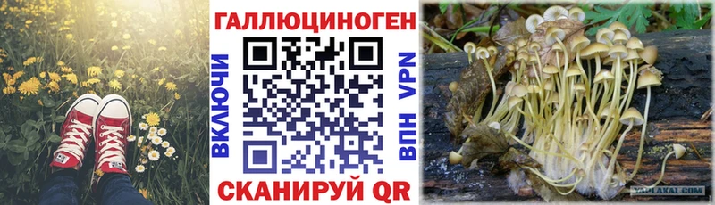 Галлюциногенные грибы Magic Shrooms  Пермь 